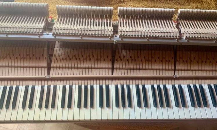 Mécanique de piano à queue - Saint-Amand-Montrond - La Bul'à Pianos