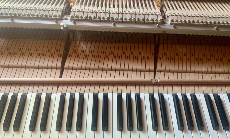 Mécanique de piano à queue - Saint-Amand-Montrond - La Bul'à Pianos